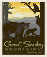 National Parks: Great Smoky Mountains Poster Panel